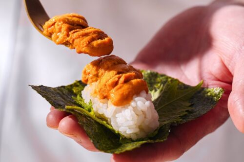 13 APR 2026–5 JUL 2026 | East‑West Taste